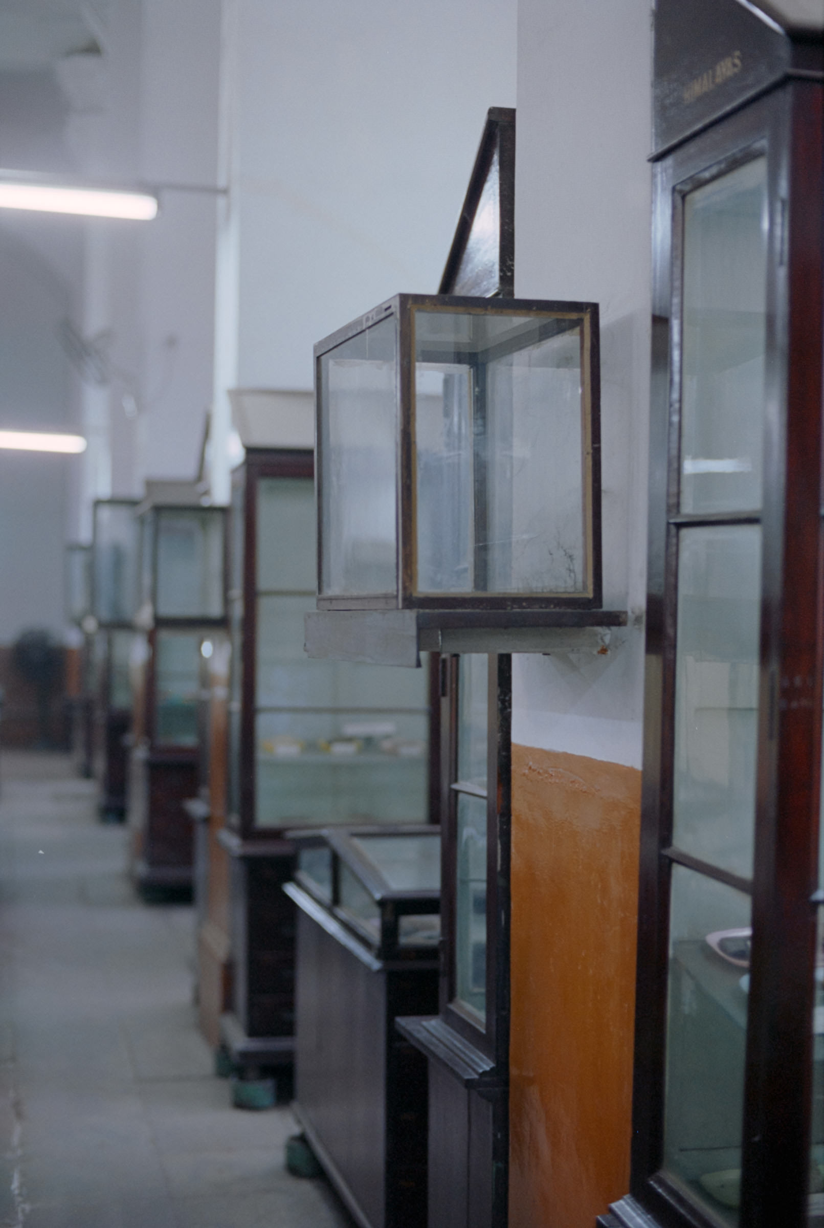 AHP film 2005 01 002 sc240825 img18 NLP